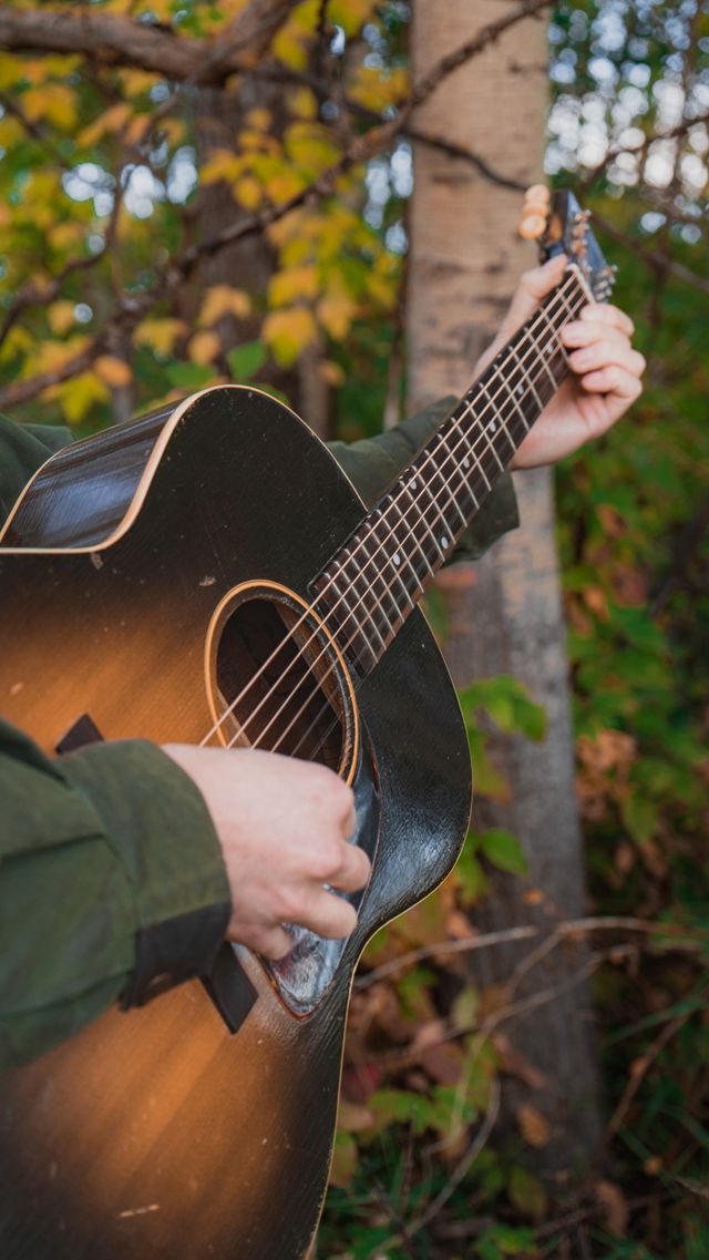 vertical close-up of gibson lg-1 mitch park blah148 fretboard